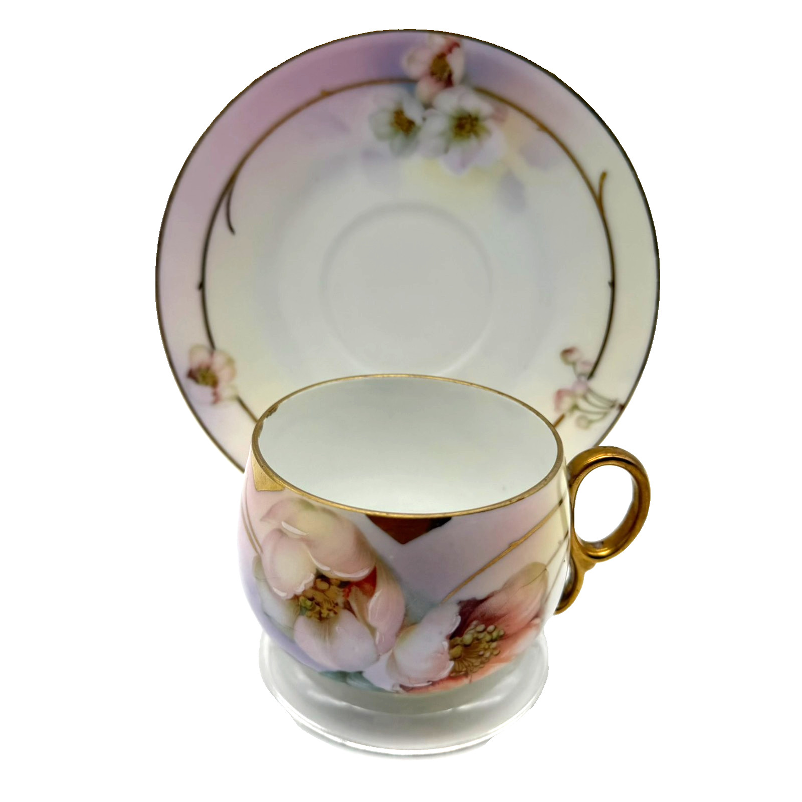Circa 1905-1931 Royal Rudolstadt Prussia Floral Teacup & Saucer Set