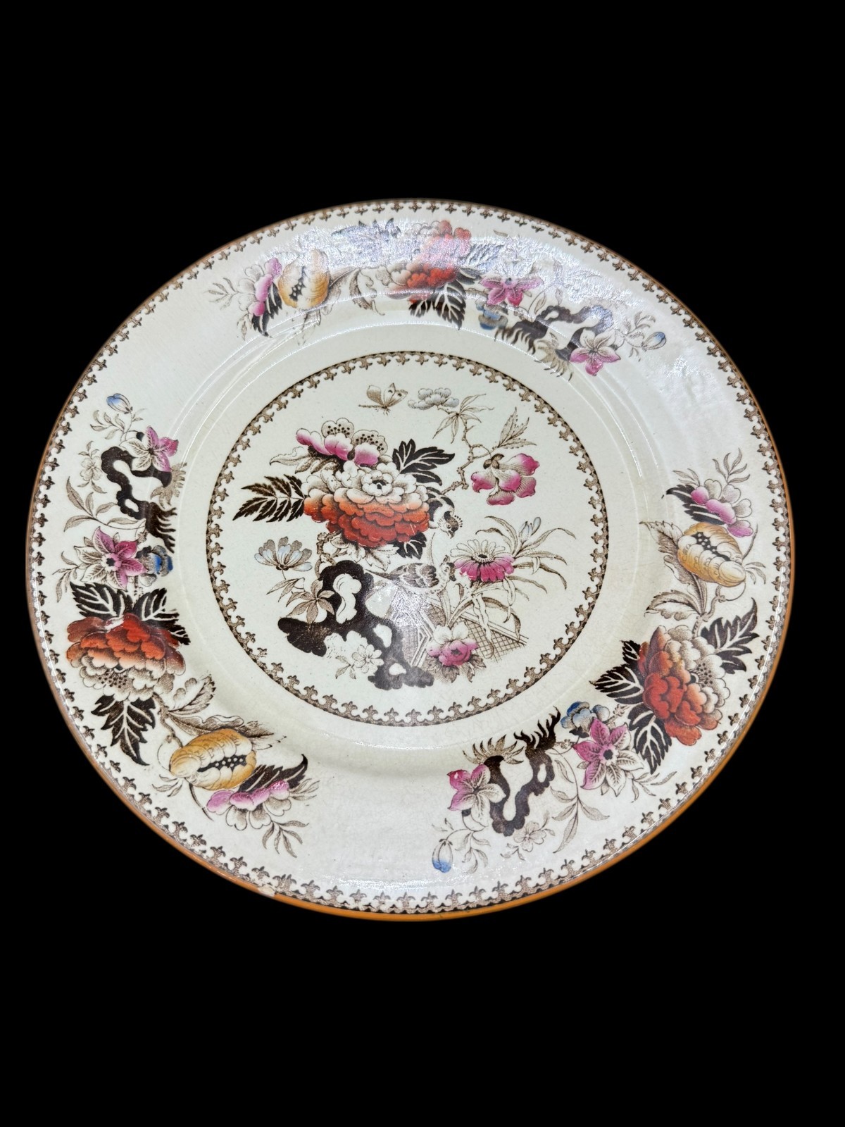 Wedgwood Bullfinch Brown Multicolor (Brown Trim) Dinner Plate 10 3/8″ Lot of 5