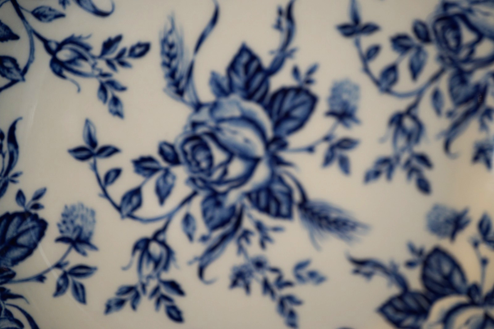 WOOD AND SONS CHINA COLONIAL ROSE BLUE 4 DINNER 11″ & 4 SALAD PLATES 8″ ENGLAND