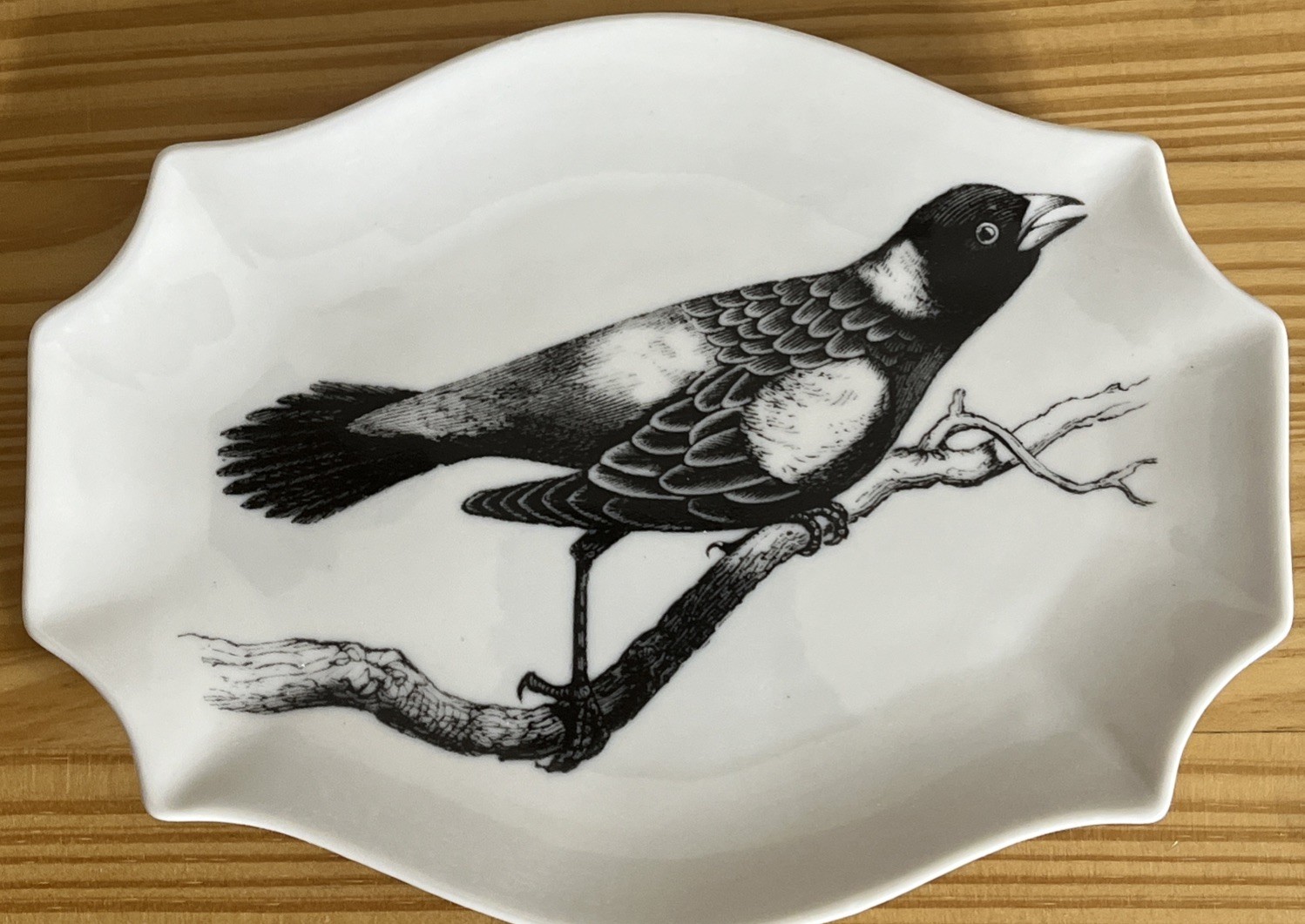 Creative Co-Op Botanical Bistro Bird Plates Stoneware Black & White Set of 4