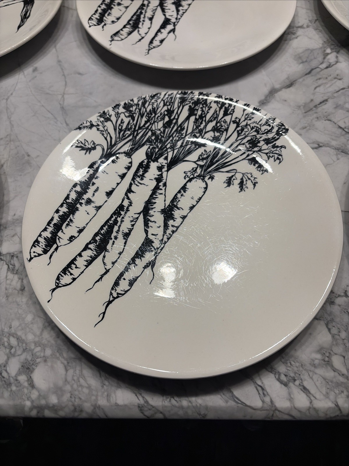 Creation Val d’Or Black & White Vegetable Botanical Plates 9.375” Diam. Set Of 6