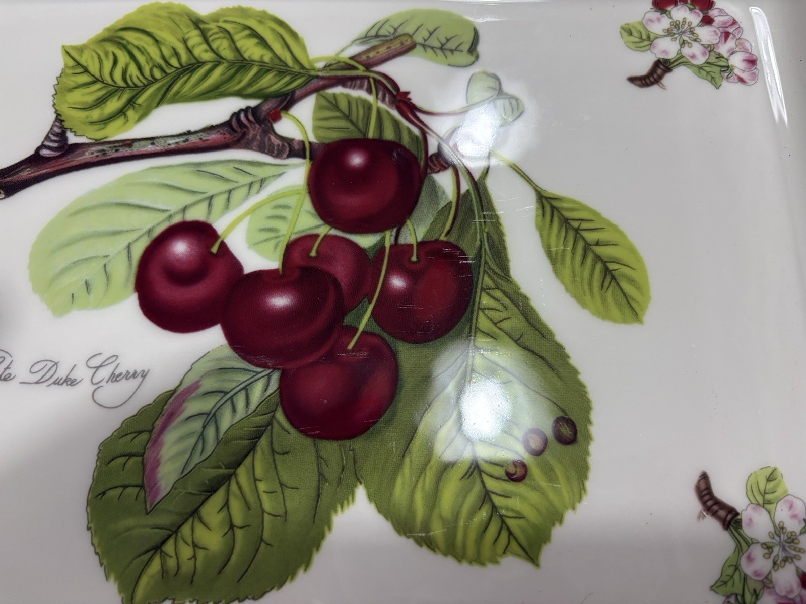Portmeirion Pomona Lasagna Pan Casserole Dish Duke Cherry 10 x 14Discontinued