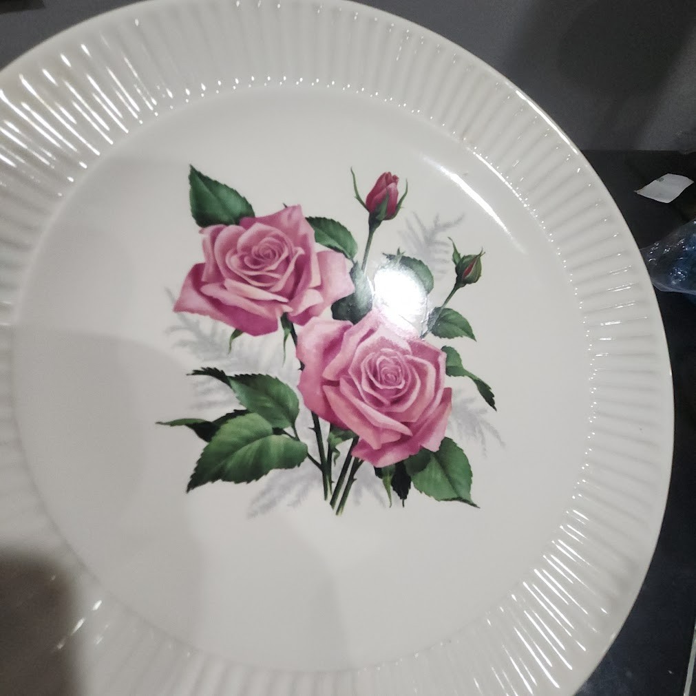 vtg 5 dinner plates 9″ ceramic white pink rose edge ribbed Cottage Decor wall