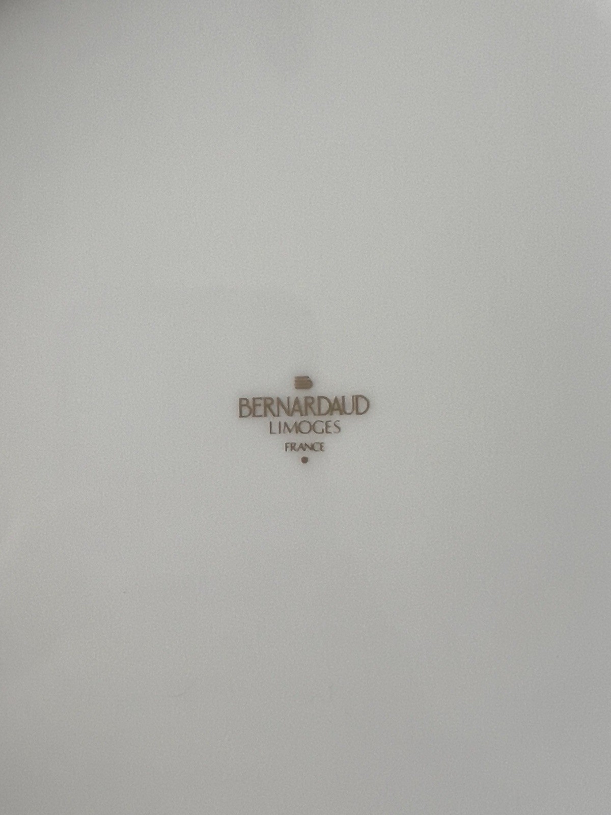 Bernardaud Limoges Granite Emerald China Charger Plates Made In France 11-5/8”