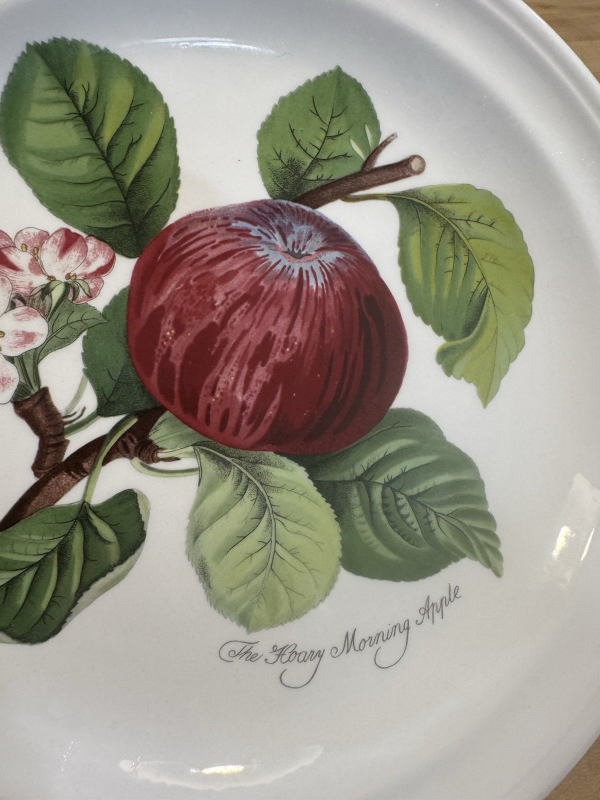 Portmeirion Pomona Set of 2 Dinner Plates – Apple and Peach – 10.5″