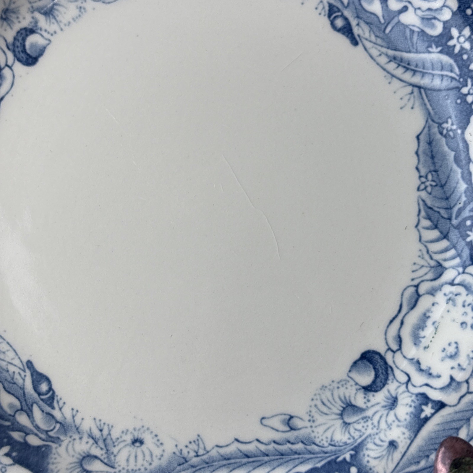 Pomona College Blue by Wedgwood Bread Plate Set of 4
