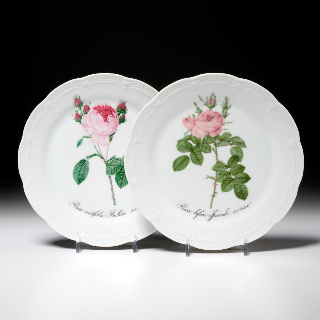 (8) Hutschenreuther Germany Viktoria Botanical Salad Plates Pink Flowers 7.75″ A