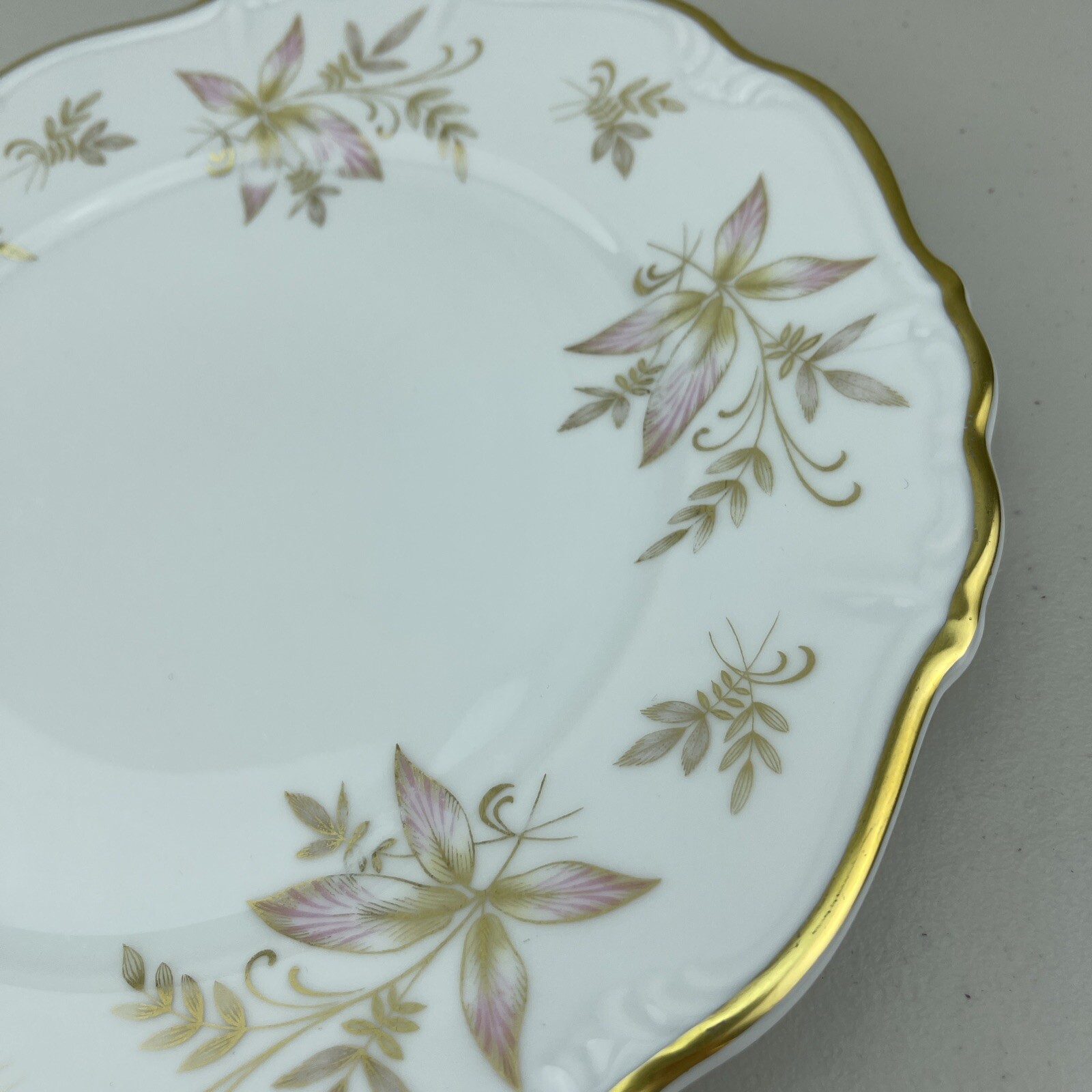 Edelstein Bavaria Maria-Theresia OAKLAND 19705 30 Dinner Plate 10″