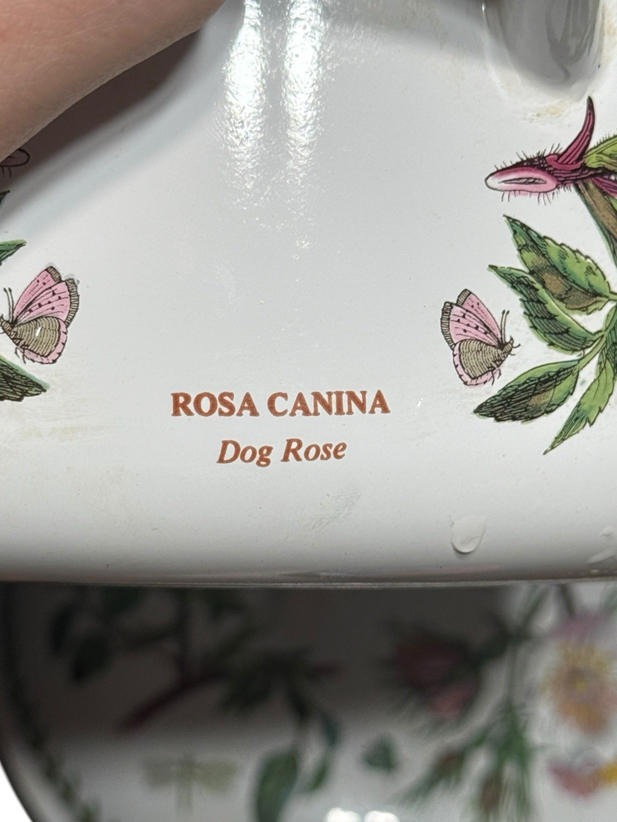 Portmeirion The Botanic Garden Circa 1972 Dog Rose Casserole Pot with Lid Spain