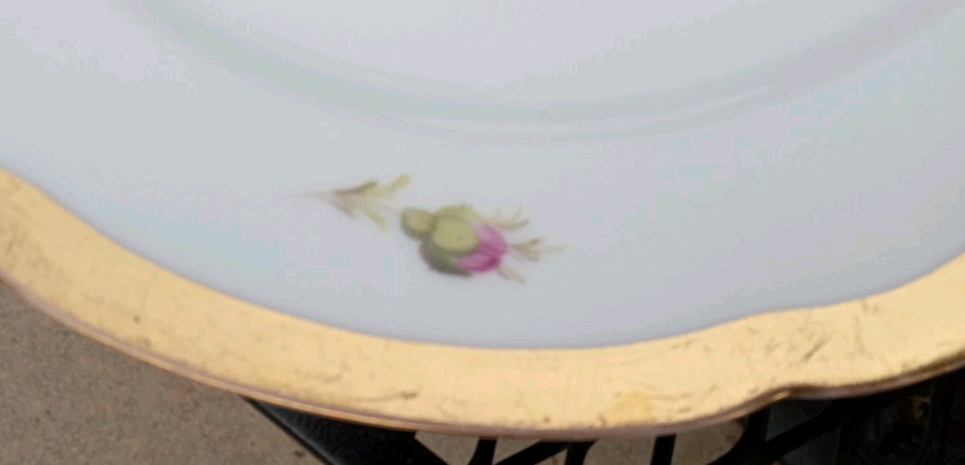 12 Antique Helena Wolfsohn DRESDEN ROSE Porcelain Dinner Plate OVINGTON BROS NY