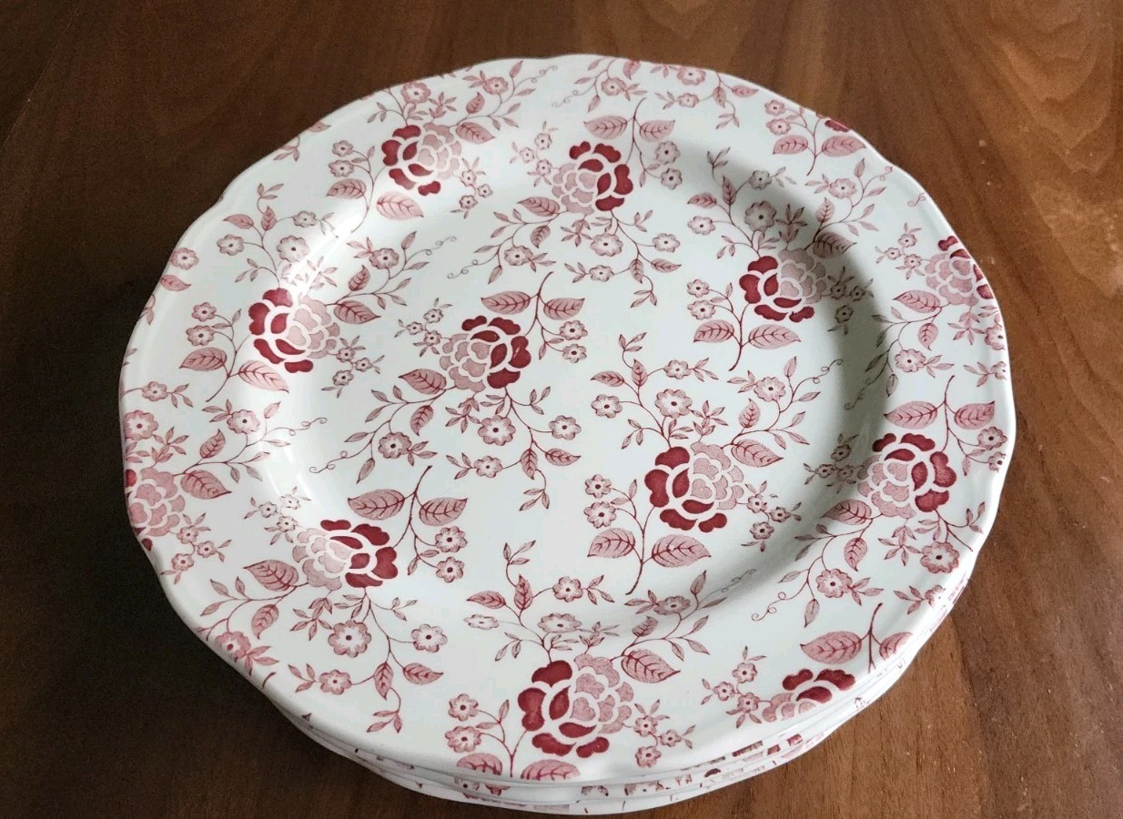 Set Of 5 Royal Staffordshire Heirloom Ironstone J&G Meakin 10.25”Dinner Plates