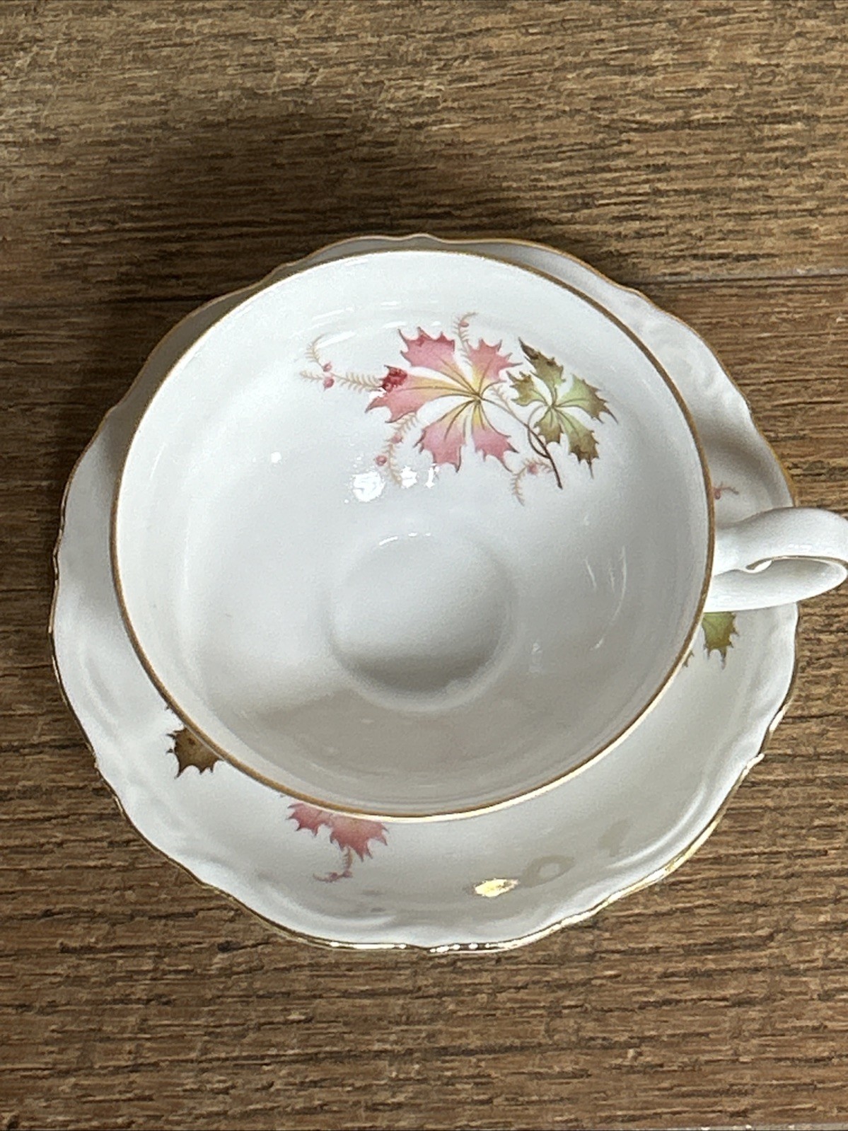 Mitterteich Bavaria Tea Coffee Cup Saucer Autumn Leaves Gold Pink Footed