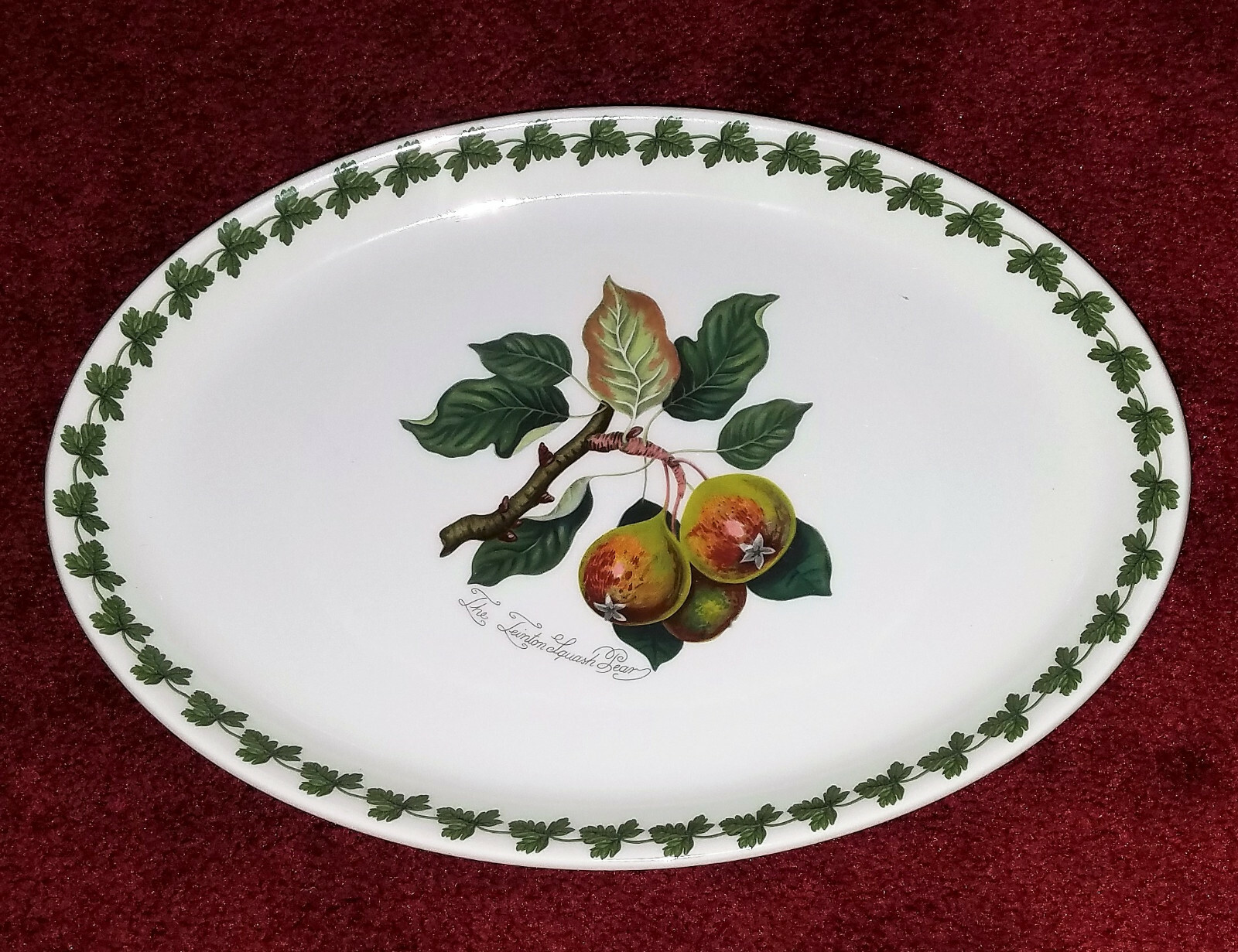 PORTMEIRION Pomona SQUASH PEAR 9 x 13 oval Serving Steak Platter LAUREL FIRE ICE