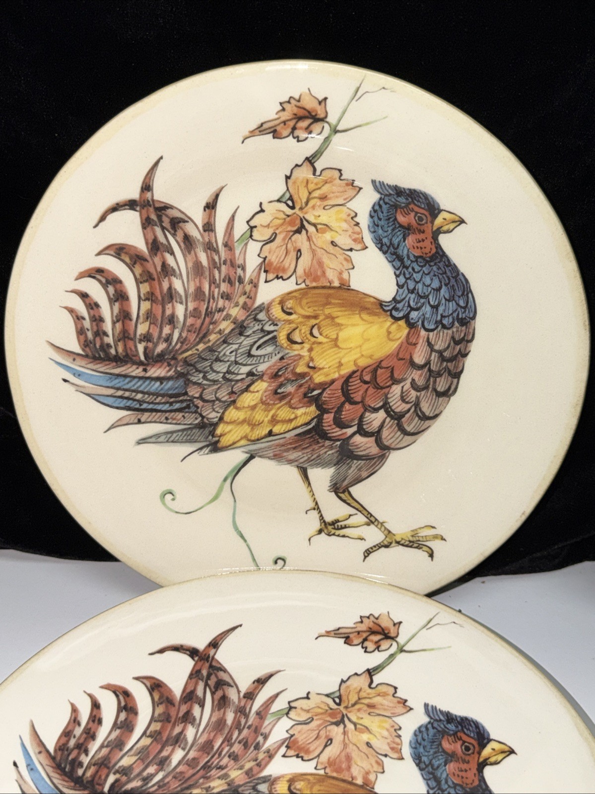 SET OF 6–Sur La Table PHEASANT 8.5″ Salad Plates ITALY FREE SHIPPING