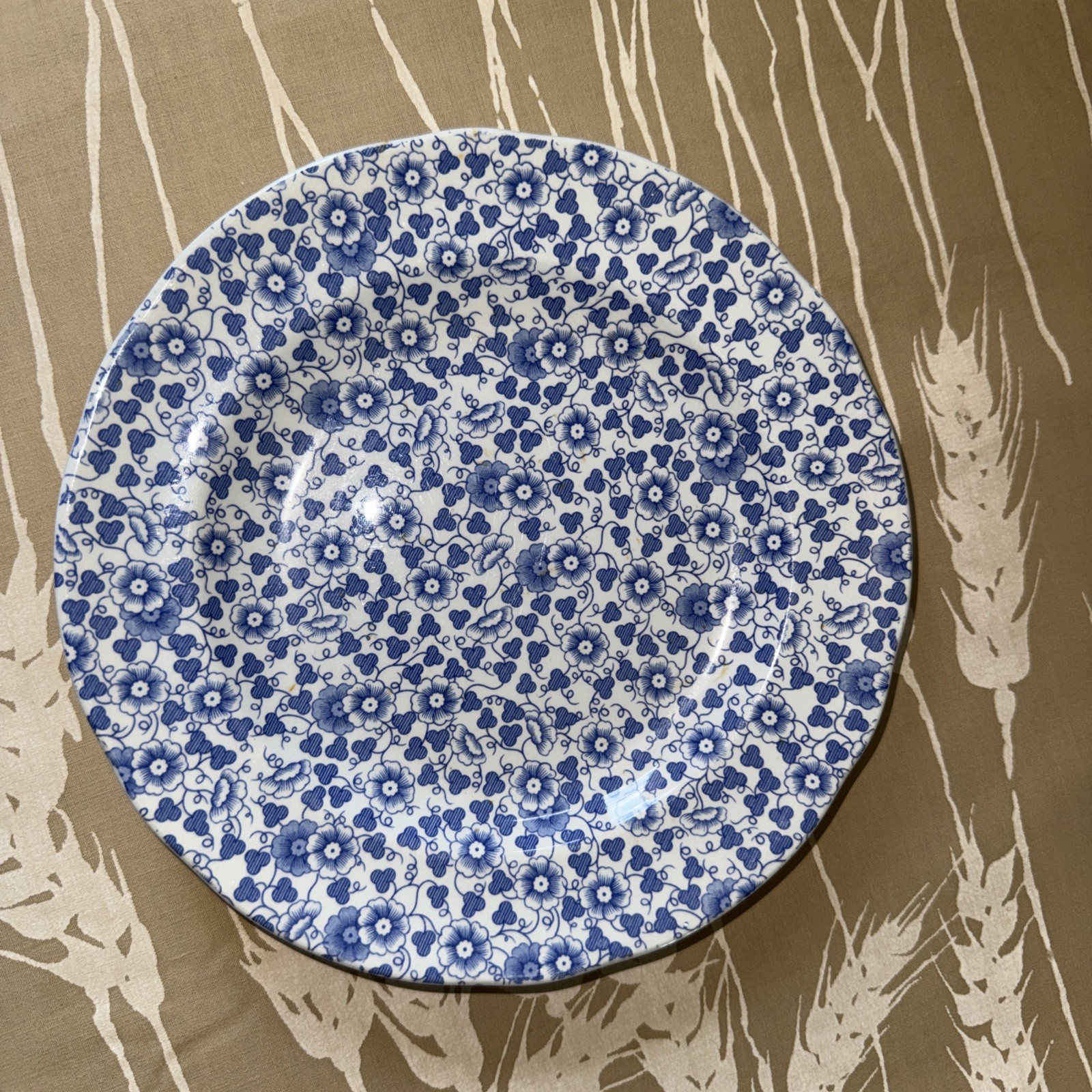 Spode Penny Lane Daisy White 7.5 Inches Salad Plates Blue Floral Set of 4 Rare