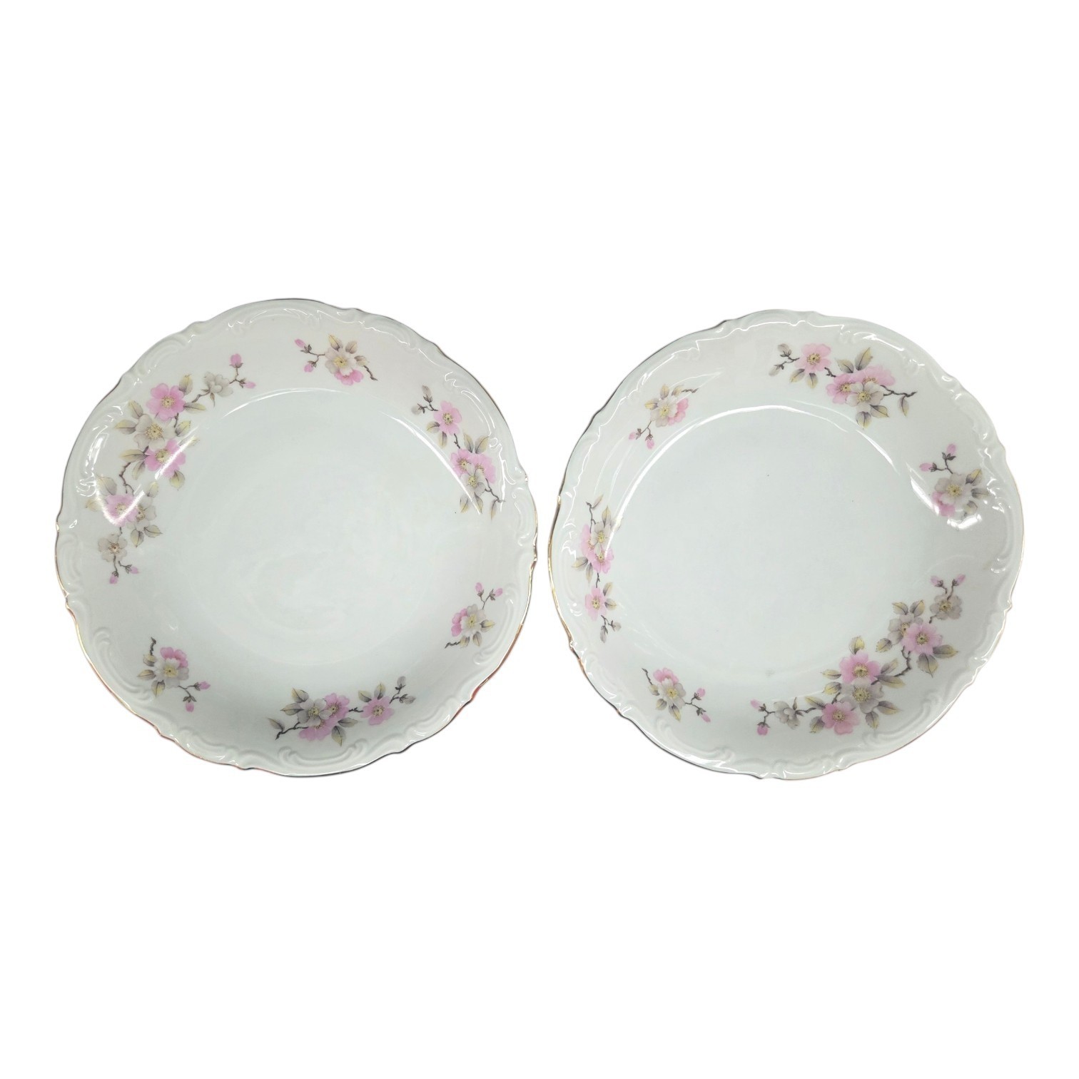 MITTERTEICH Bavaria Germany 1920’s Springtime Apple Blossom 17 Pcs Gold Scallop