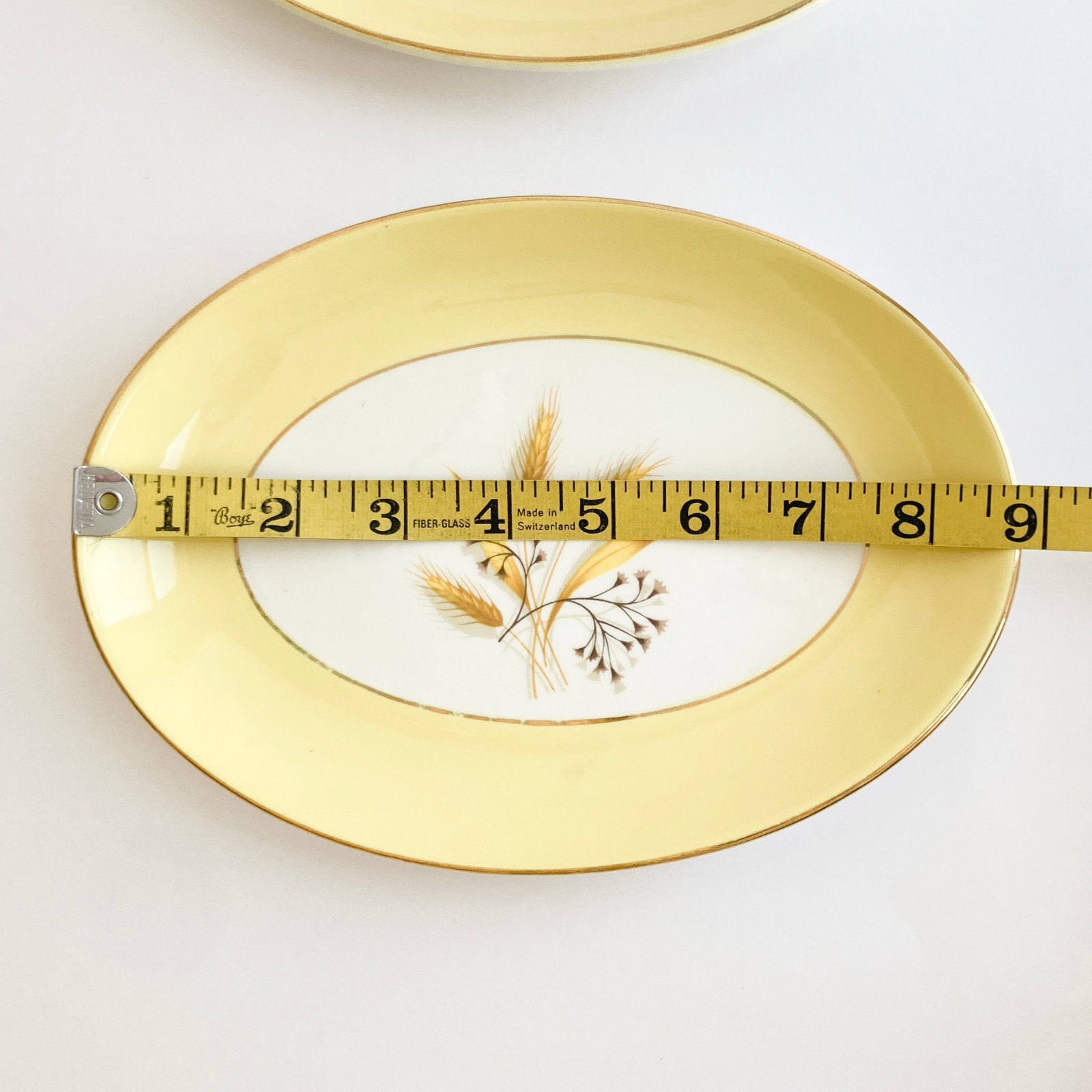Autumn Gold Century Service 8.5″ Oval Relish Plates Set of 2 VTG Hard-To-Find