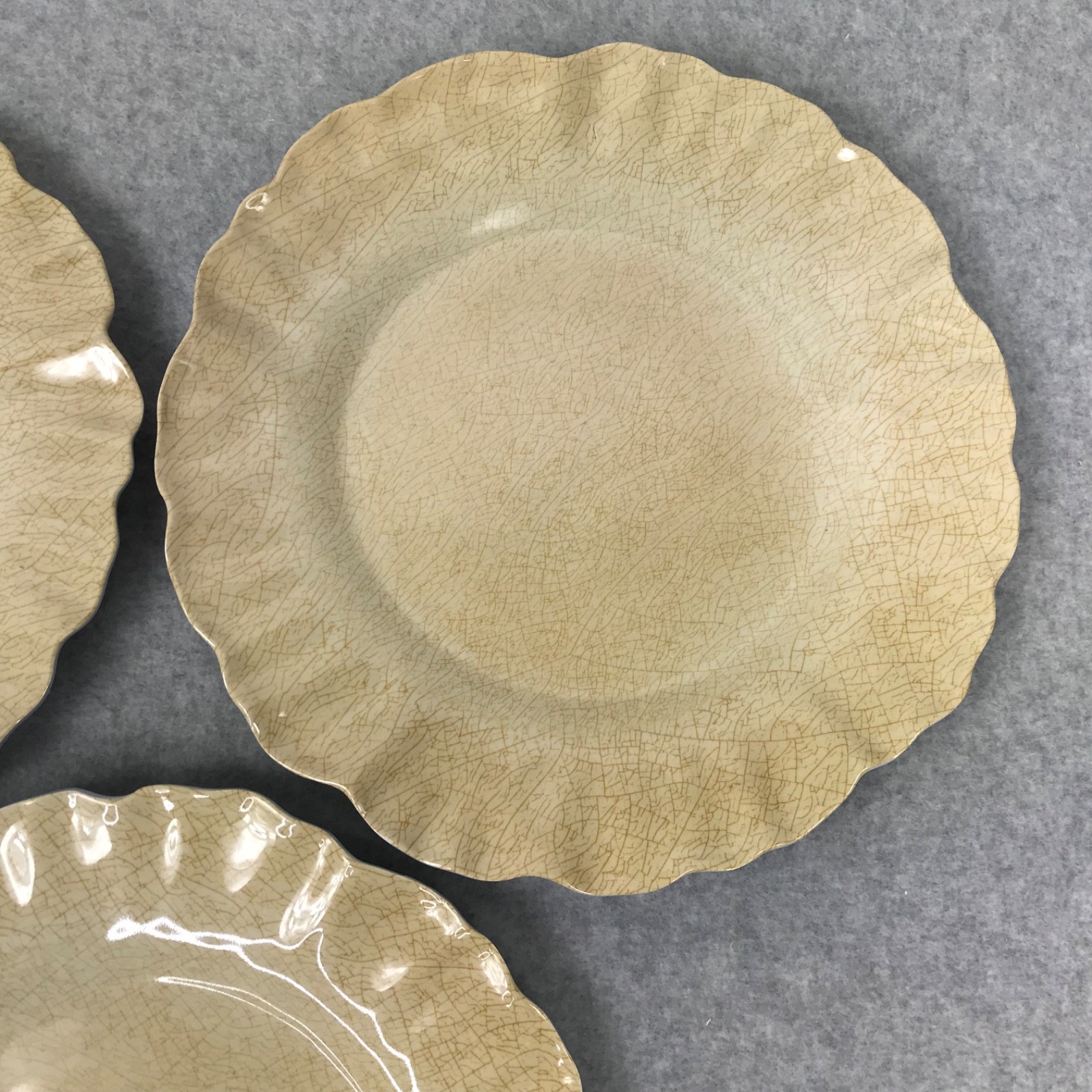 MERRITT Melmine Succulent Garden Mocha Dinner Plates Set of 6 Beige/Golden
