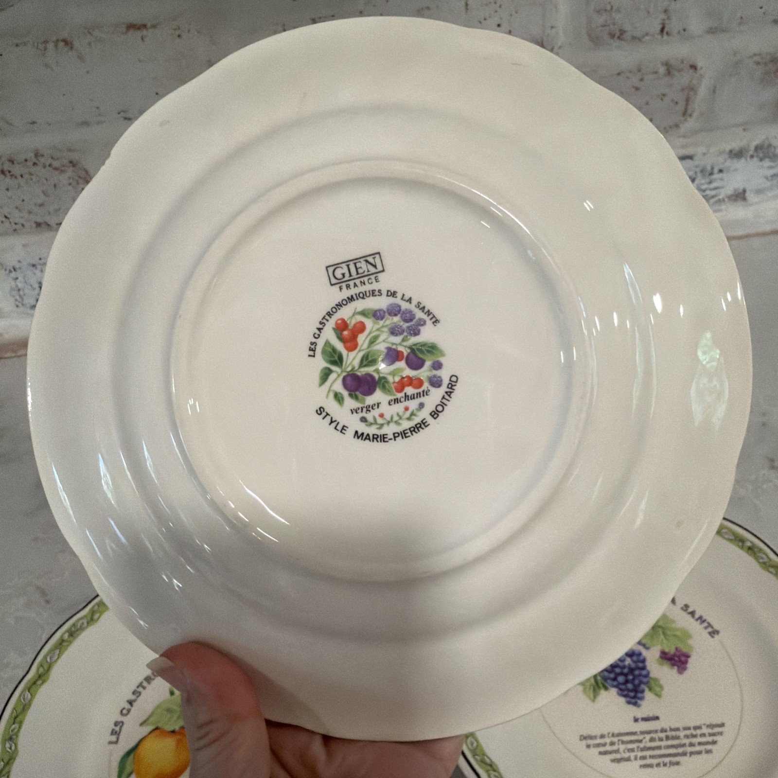 6 VTG Gien China France Les Gastronomiques de la Sante Salad Dessert Plate Set
