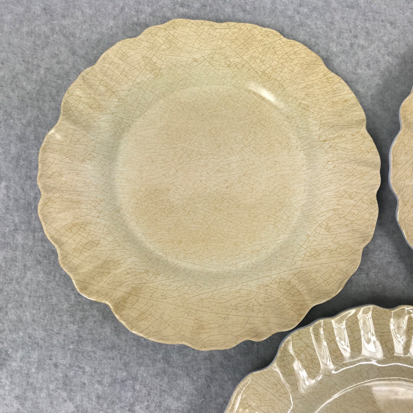 MERRITT Melmine Succulent Garden Mocha Dinner Plates Set of 6 Beige/Golden
