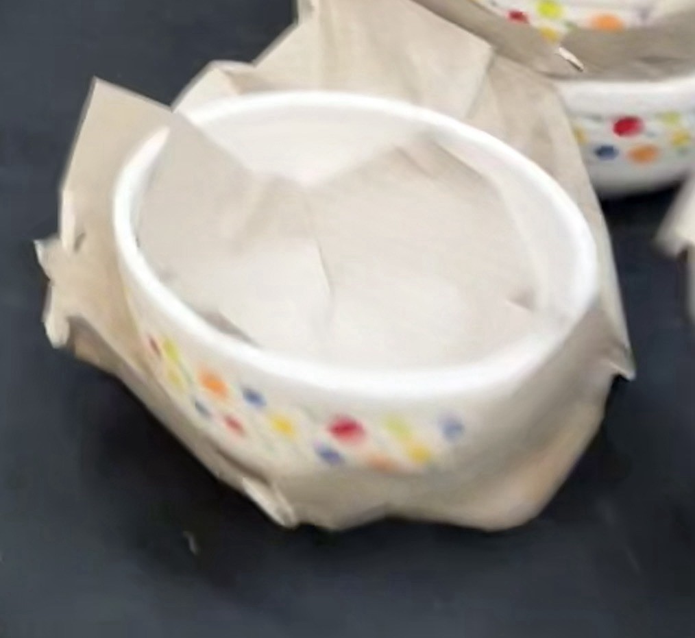 HLCCA 2026 Exclusive Fiesta Dancing Dots Small Bistro Bowl Fiestaware