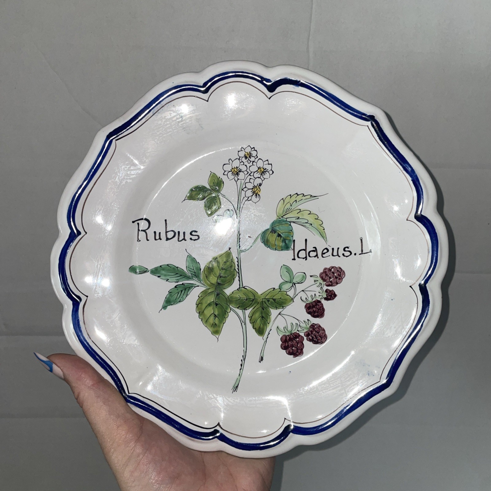 Vintage ND Dolfi Montelupo Italy Floral Wall Plates Set of 2