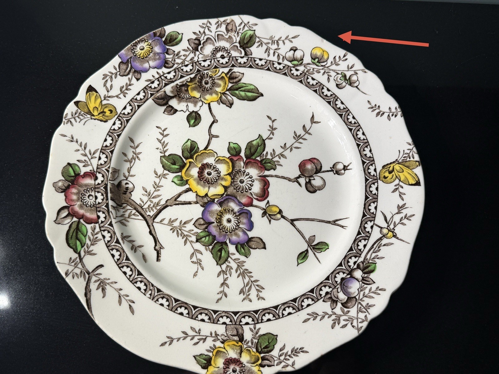 Set of 5 Alfred Meakin Medway Beautiful Dinner Plates Transferware Floral