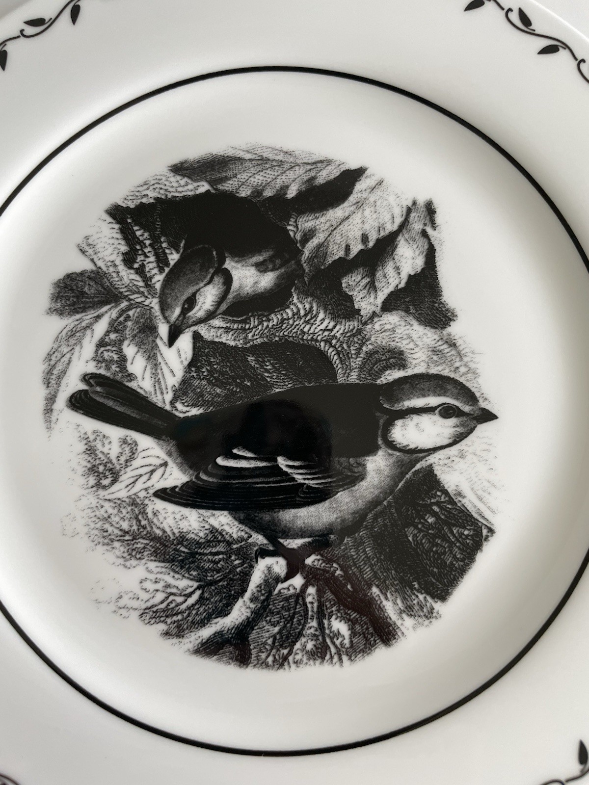 Mary Carol Lot of 4 Birds And Bees Black And White China Dessert Plates 7 7/8″
