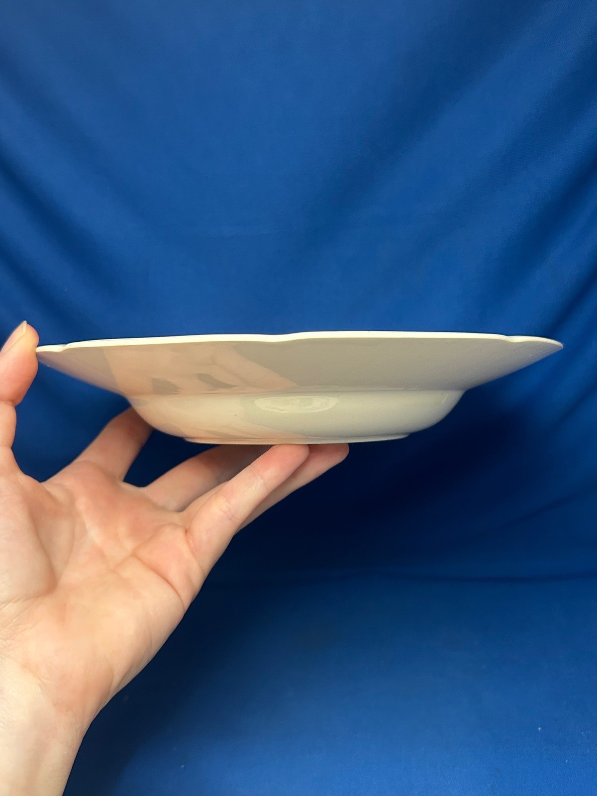 JOHNSON BROS WINDSOR WARE, WINDSOR FRUIT – SET OF 5 RIMMED SOUP PLATES 8” ENGL.