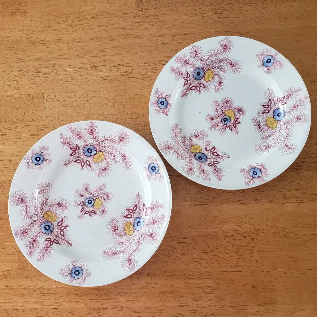 Antique Pink Feather Transferware Polychrome Plates 9” Set of 2 Wood & Challinor