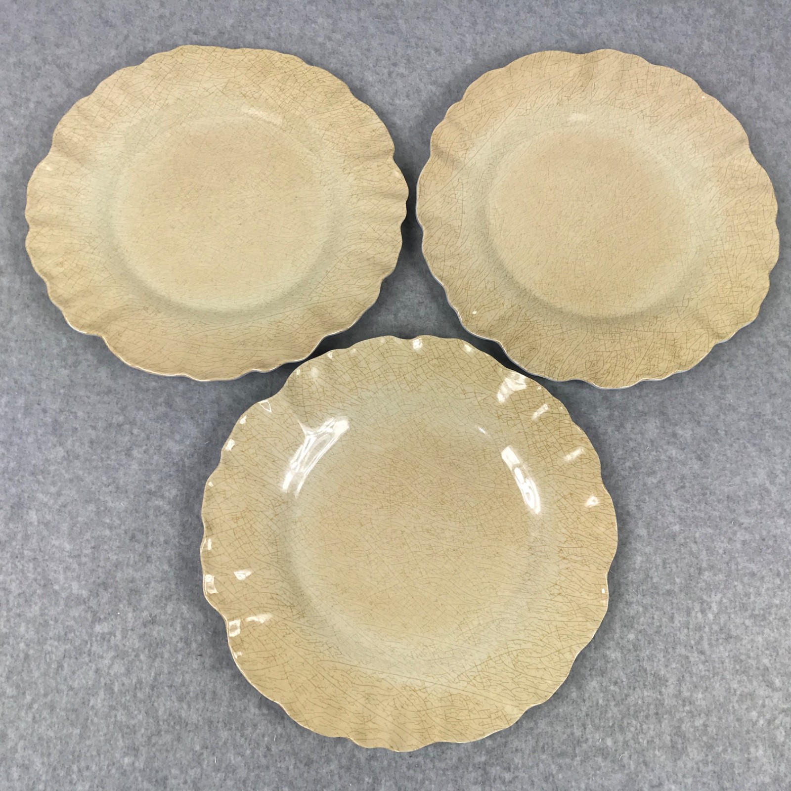 MERRITT Melmine Succulent Garden Mocha Dinner Plates Set of 6 Beige/Golden