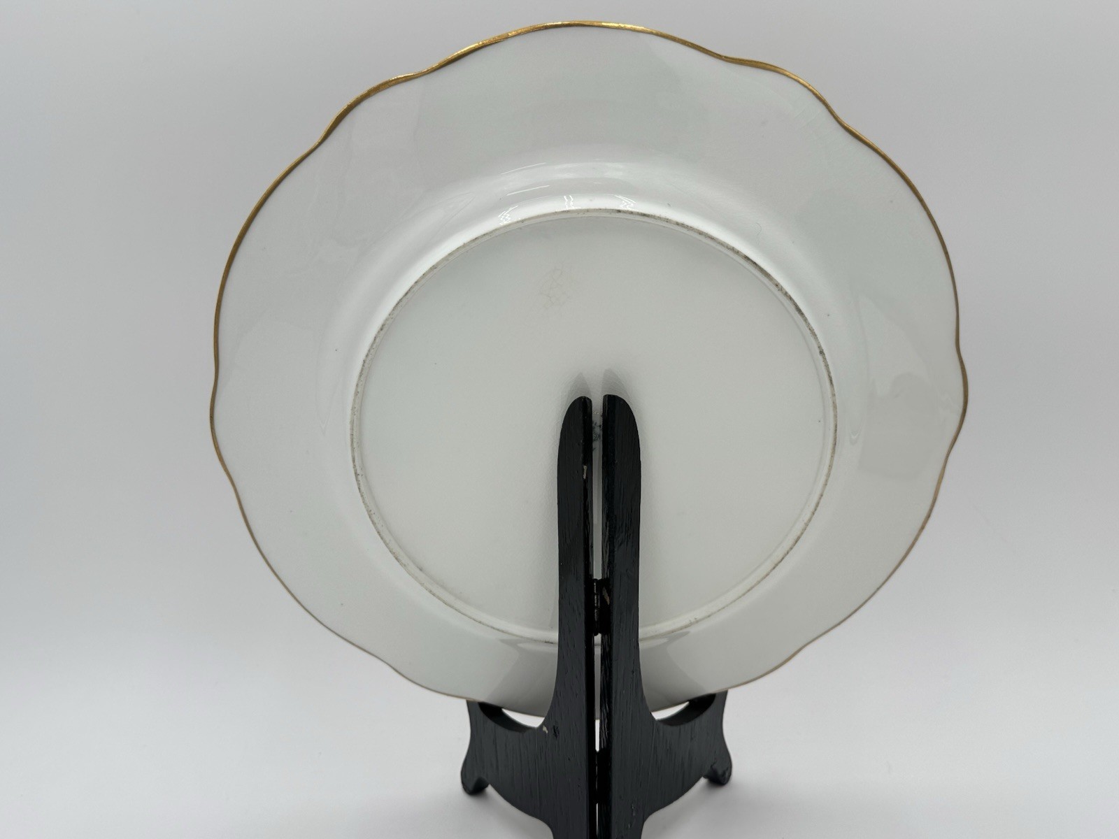 Coalport Red Gold Encrusted Cabinet Plate 10 1/2 Inches