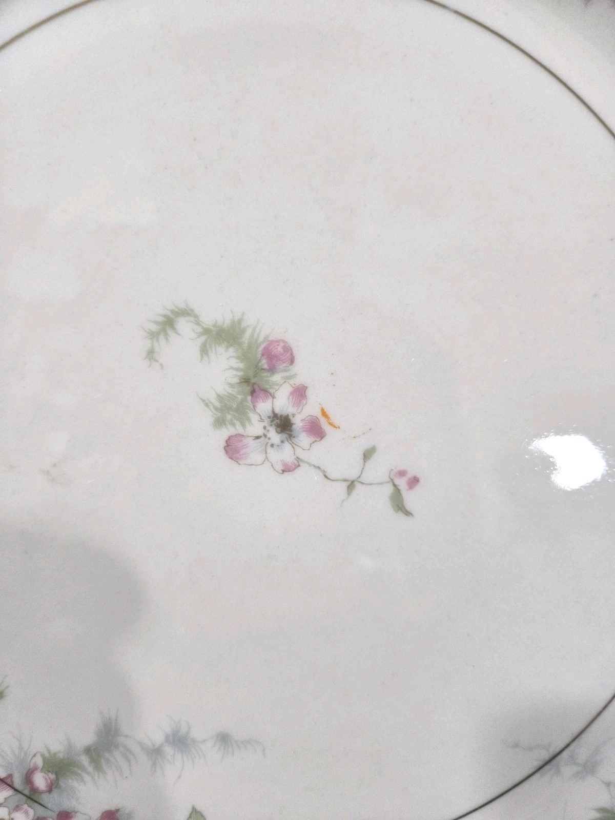 MINT Theodore Haviland New York Apple Blossom Dinner Plates — Set of 4 Gold Trim