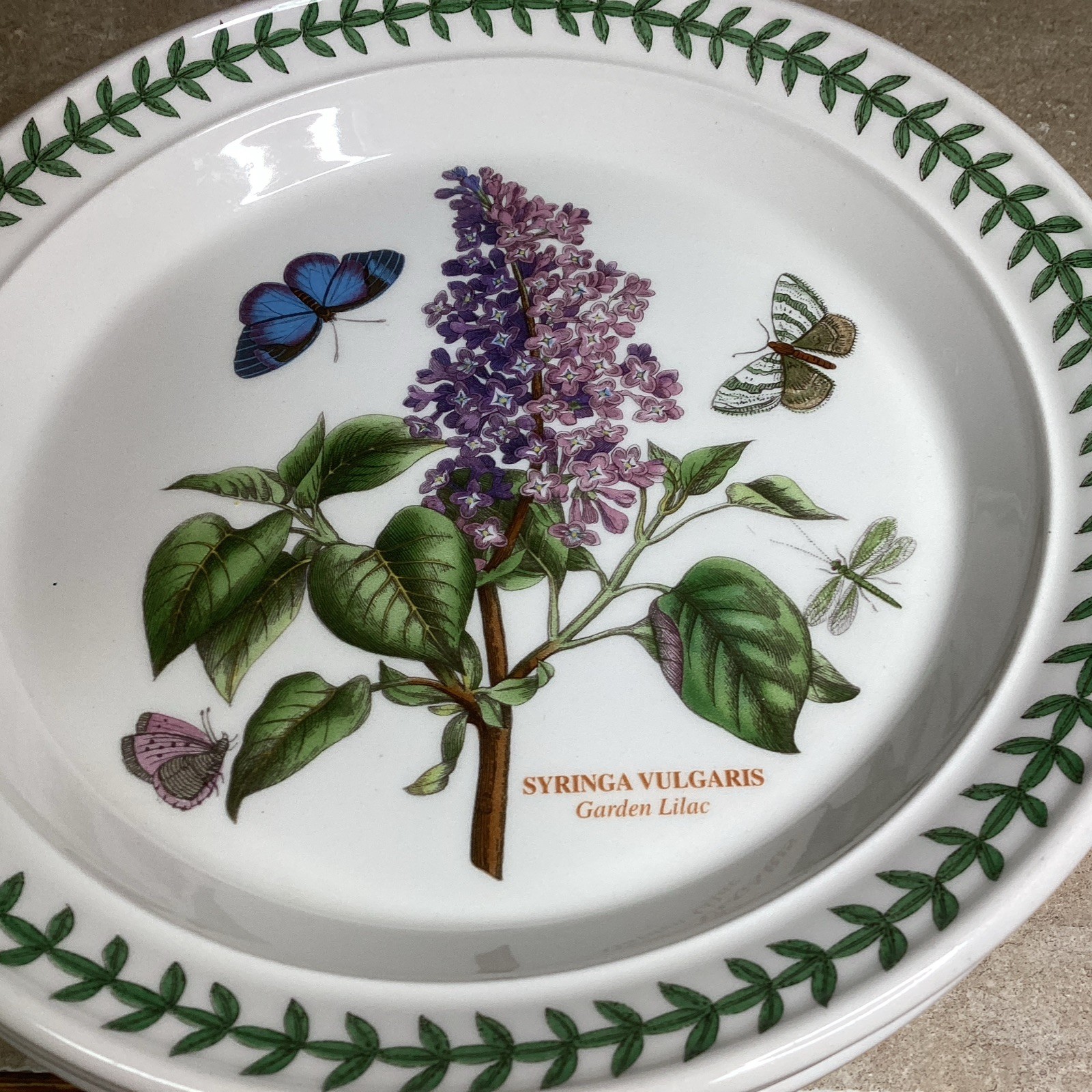 SET OF 4 Portmeirion BOTANIC GARDEN 8 1/2” Salad Plates – Assorted-new