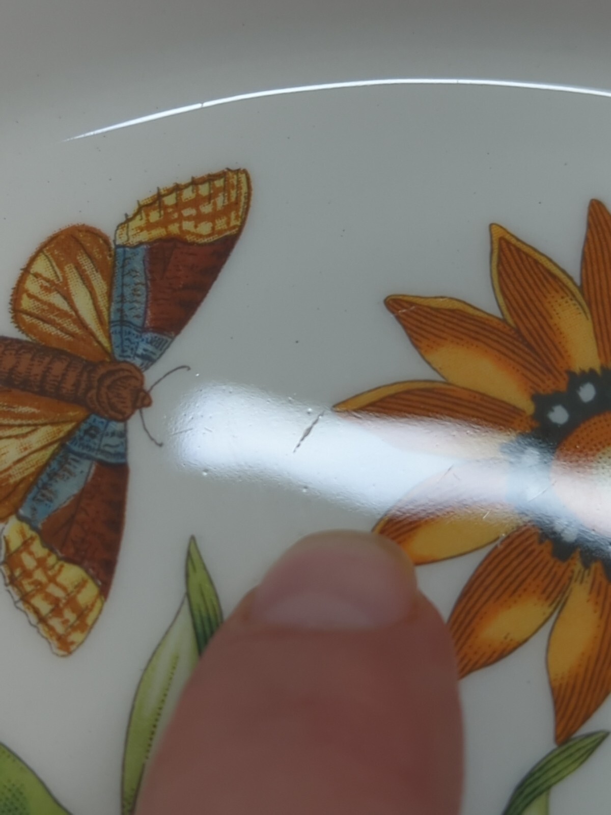 Portmeirion BOTANIC GARDEN HARMONY Papilio Opal 8 3/8″ Salad Plate African Daisy