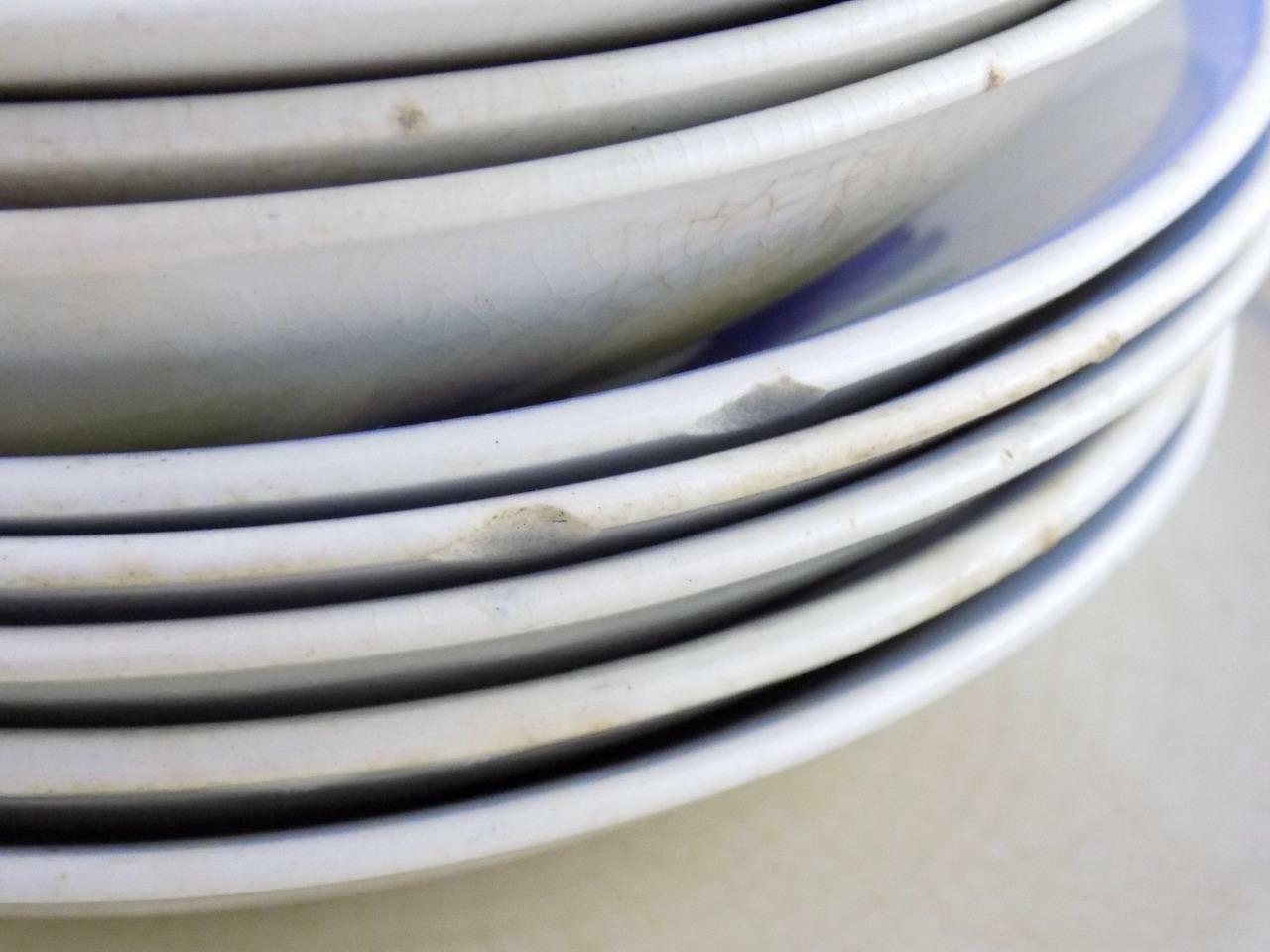Lot of 15 Pcs of Booths Silicon China Crocus Pattern Dinnerware Cups Dishes +