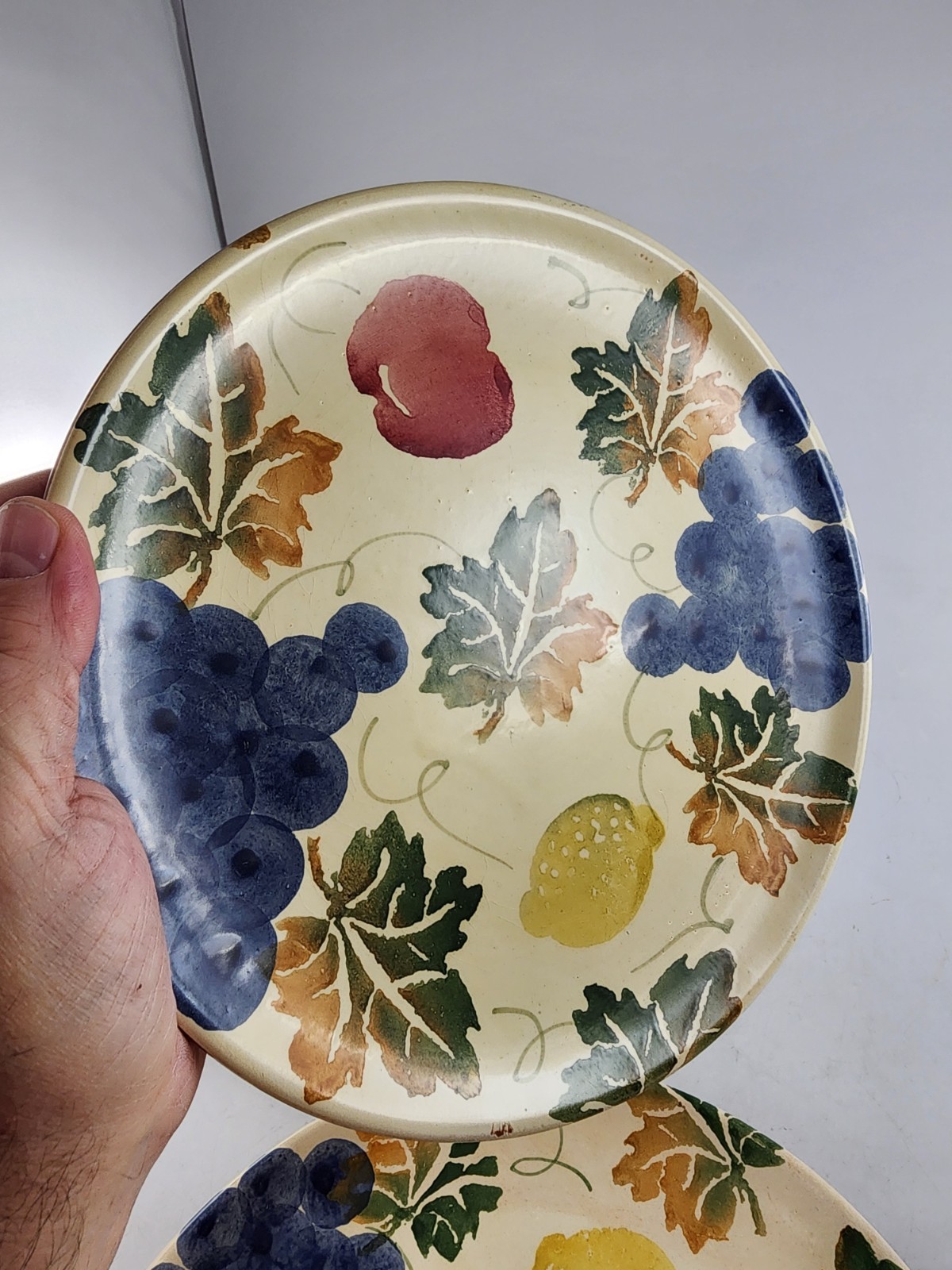 Ceramiche Alfa Dinner Plates – Made in Italy Fruit and Leaves 10″ Qty 3