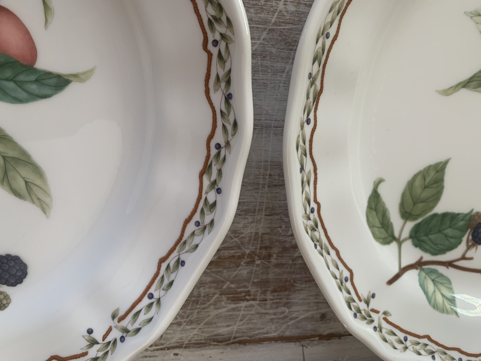 Noritake Casual Gourmet HARVEST Dinner Plates Fruit 10-5/8″ Laurel Set 4
