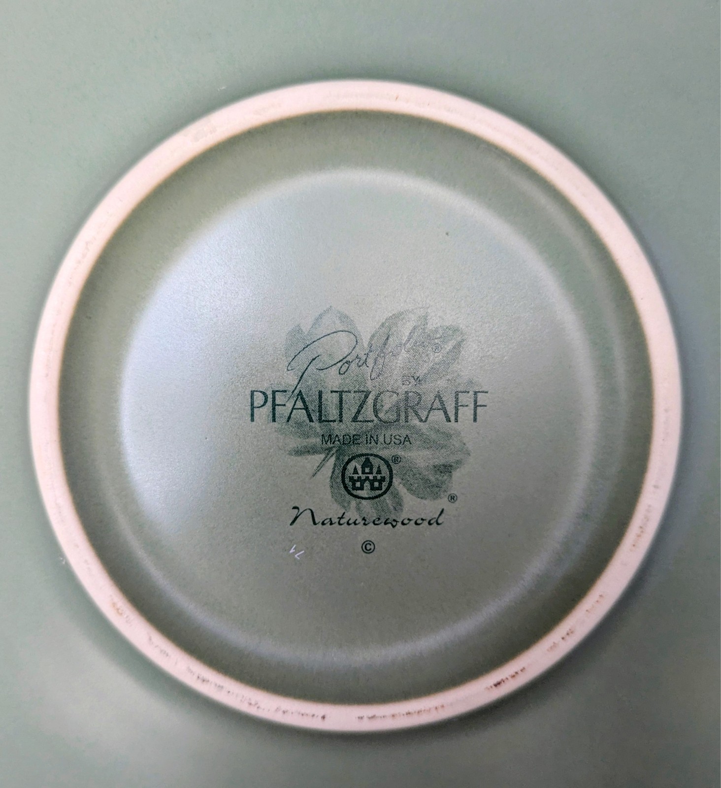 Set of 8 Pfaltzgraff Naturewood Portfolio Green 9 3/4″ Buffet/Dinner Plates EUC