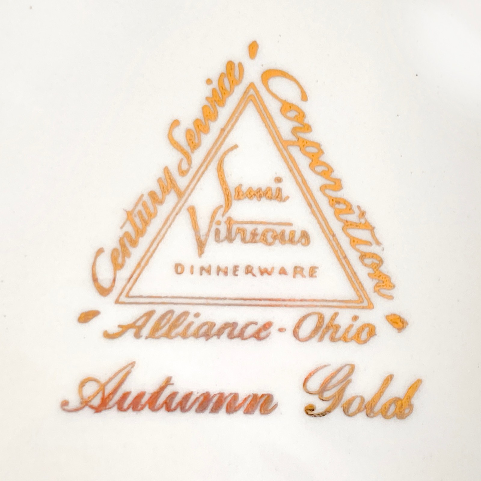 Autumn Gold Century Service 8.5″ Oval Relish Plates Set of 2 VTG Hard-To-Find