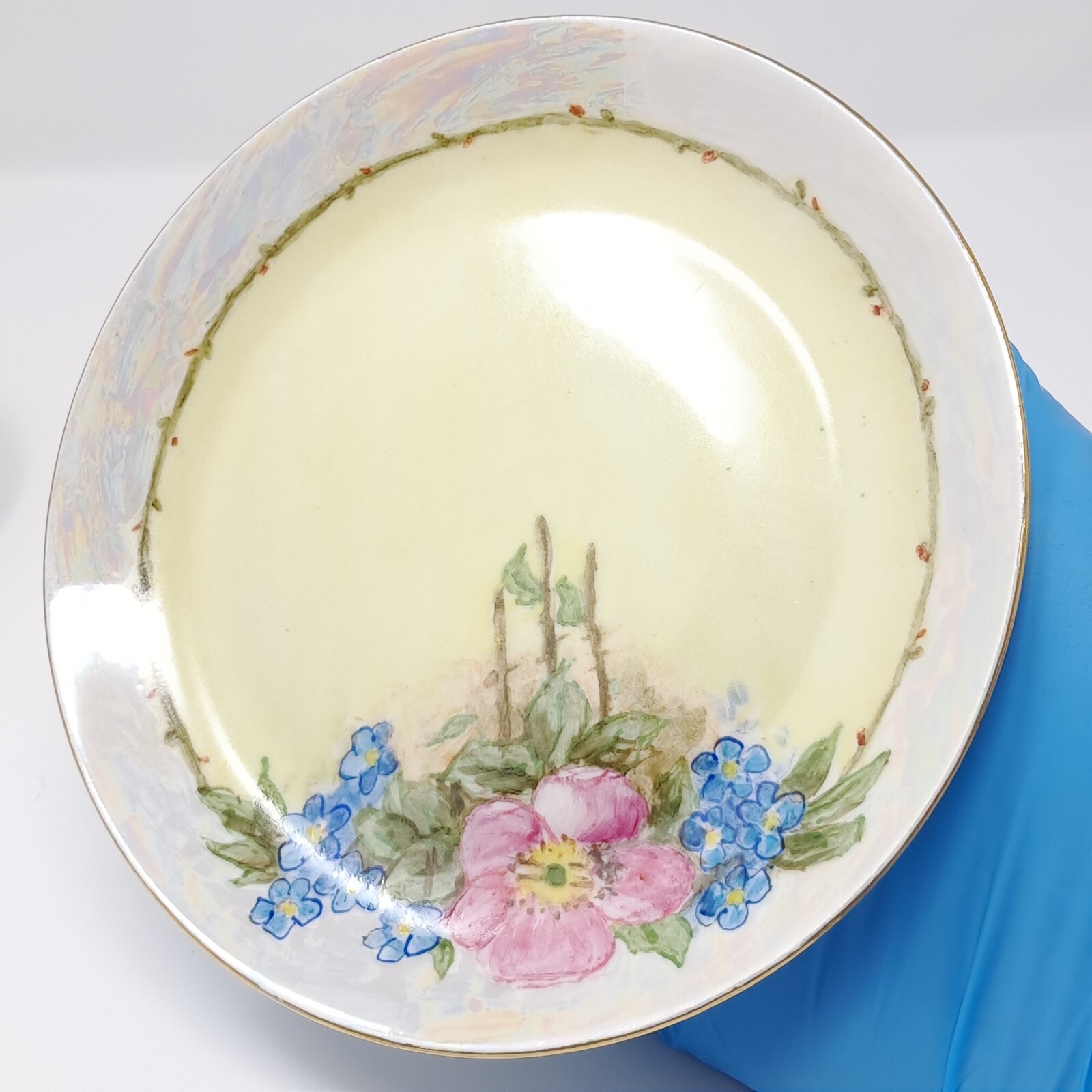 Hutschenreuther 6″ Porcelain Plates set of 6 handpainted florals lustre rim Selb