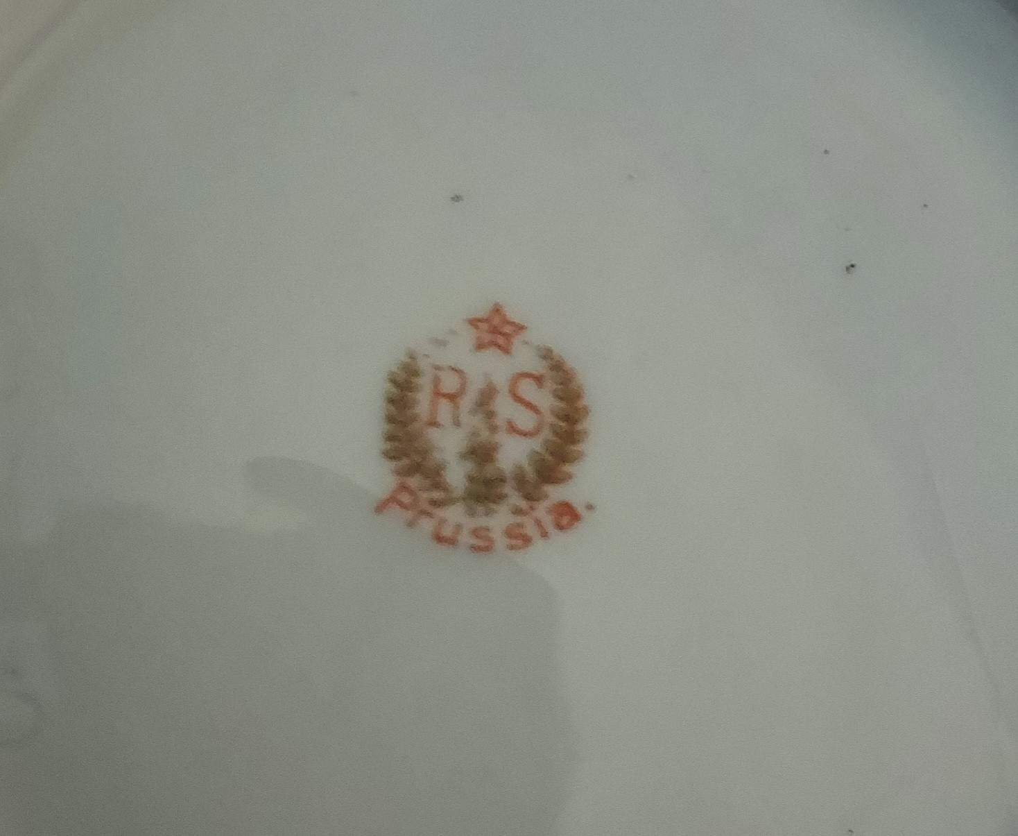 Antique RS Prussia Hand Painted Swan Scenic 5.5″Round Nut/Candy Dish – Germany