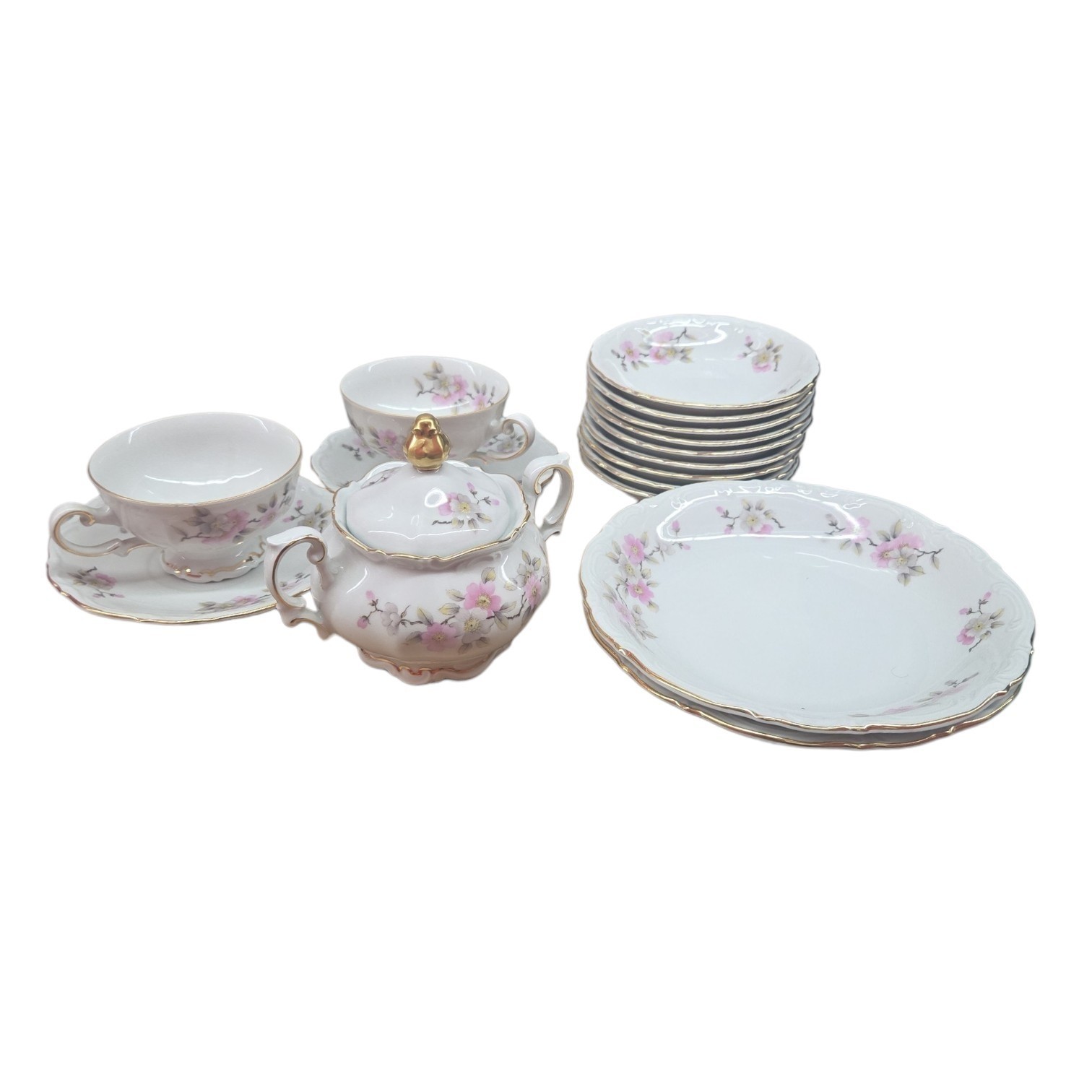MITTERTEICH Bavaria Germany 1920’s Springtime Apple Blossom 17 Pcs Gold Scallop