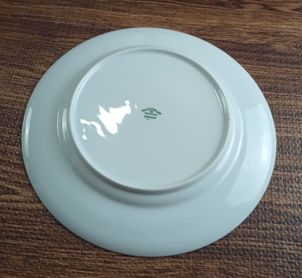 Johann Haviland Bavaria Germany Forever Spring Dinner Plate 10.25”
