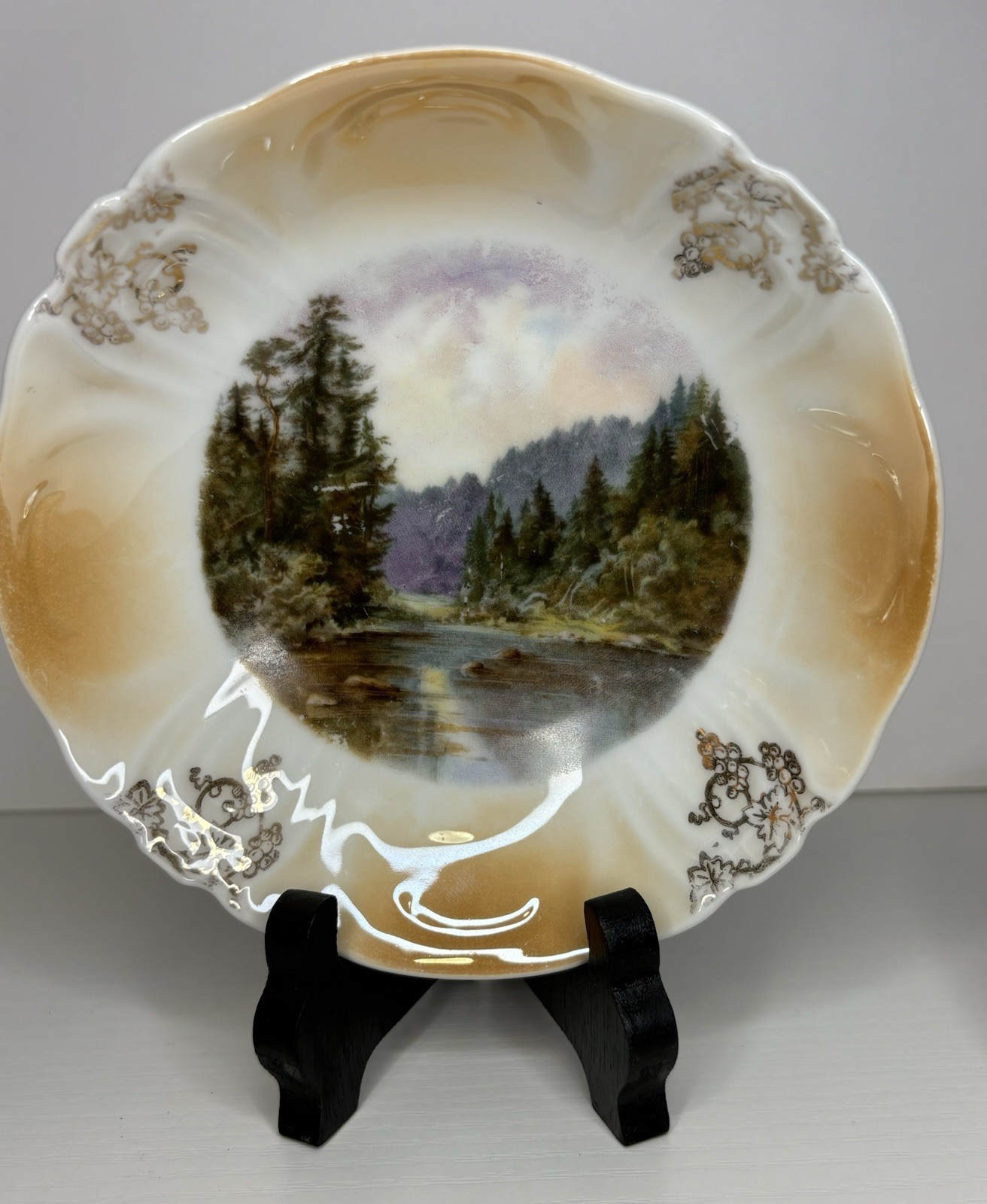 Vintage Porcelain Plate Set Country Riverbank Trees Scene Gold Grape Vine Border