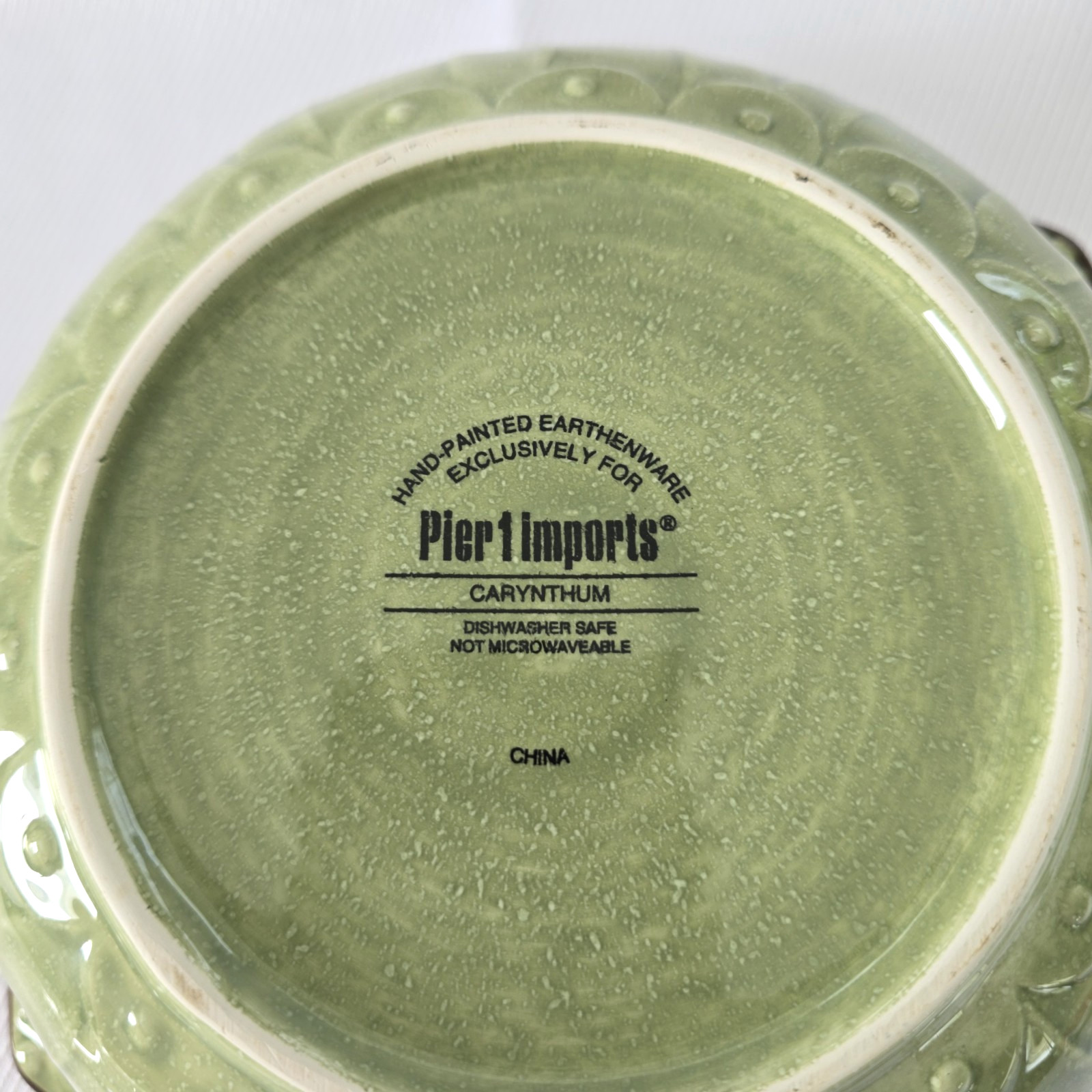Pier 1 Carynthum Serving Bowl 10″ Hand Painted Earthenware Modern Home Decor