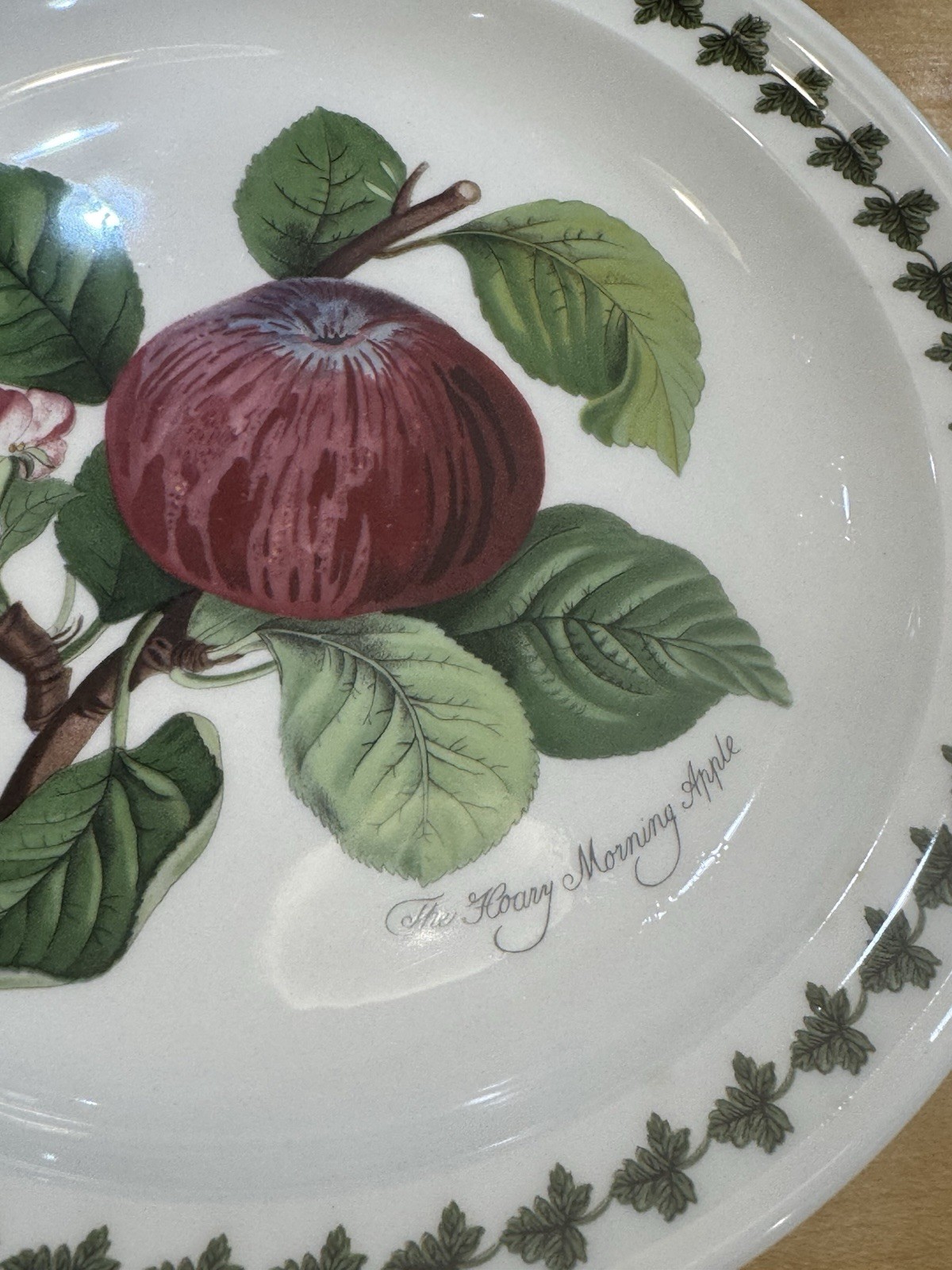 PORTMEIRION Set of 2 POMONA 8.5″ Salad Plates ~ Apple & Pear with Leaf Motif
