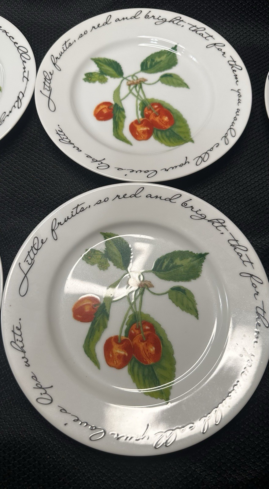 Williams Sonoma Orchard Suite Plates Salad Dessert Snacks Set Of 8 Cottage Core