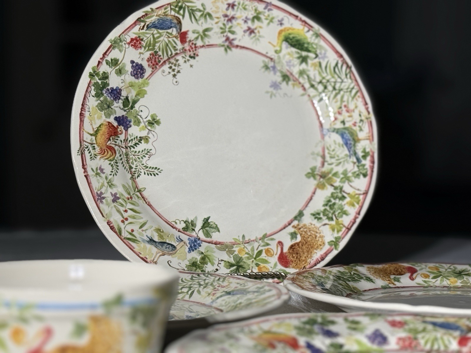 Gien France Villa Medicis Lunch Plates 9.25” Set 4 + 2 Baking Ramekins Faience