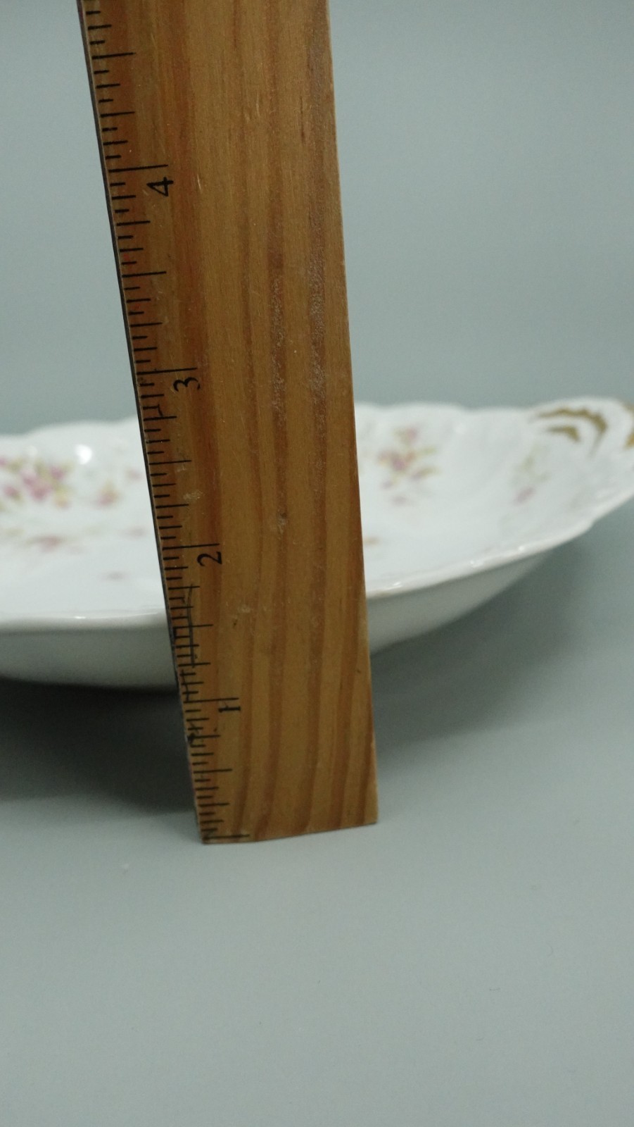 Theodore Haviland Limoges, Schleiger 150, 10.5″